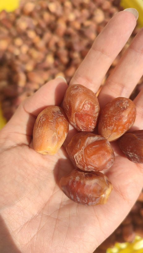 خرمای زاهدی بدون شیره