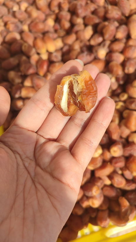 خرمای زاهدی بدون شیره