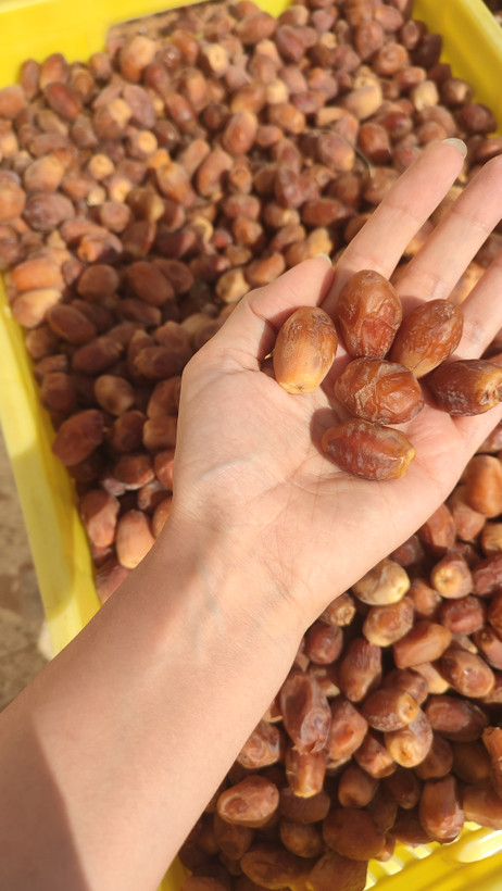 خرمای زاهدی بدون شیره